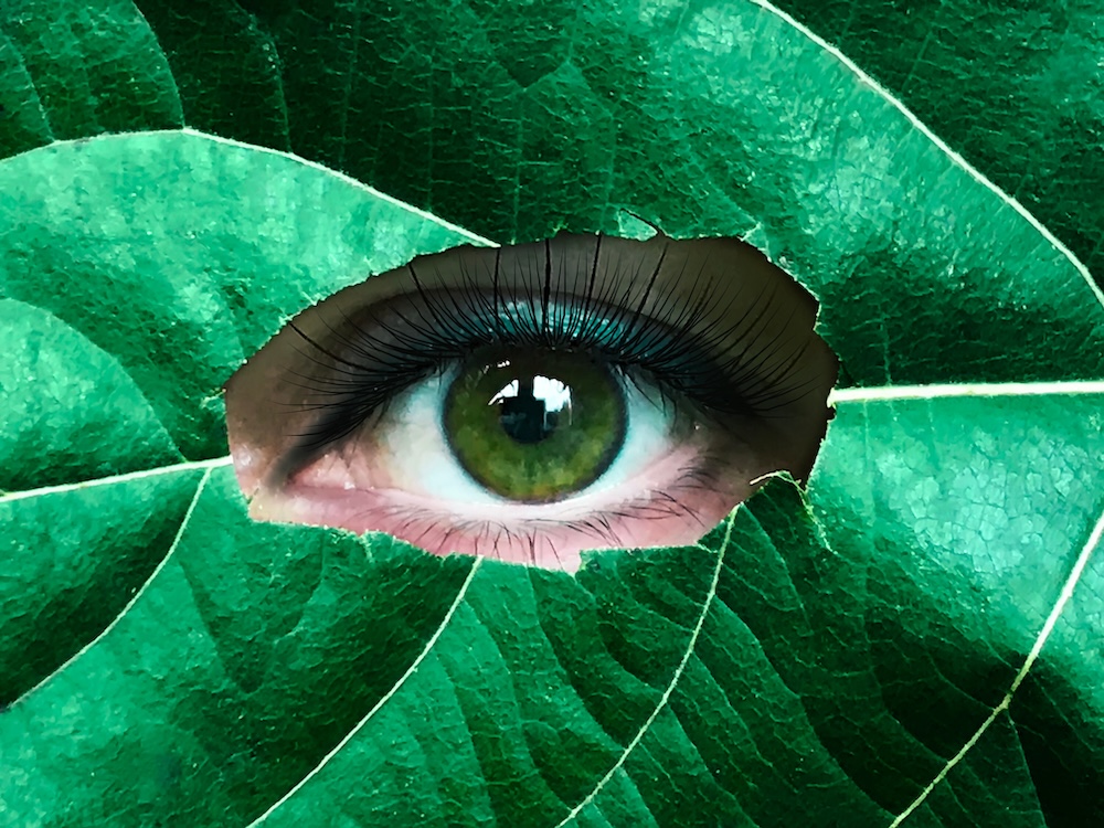 Human eye emerging from green leaf patterns