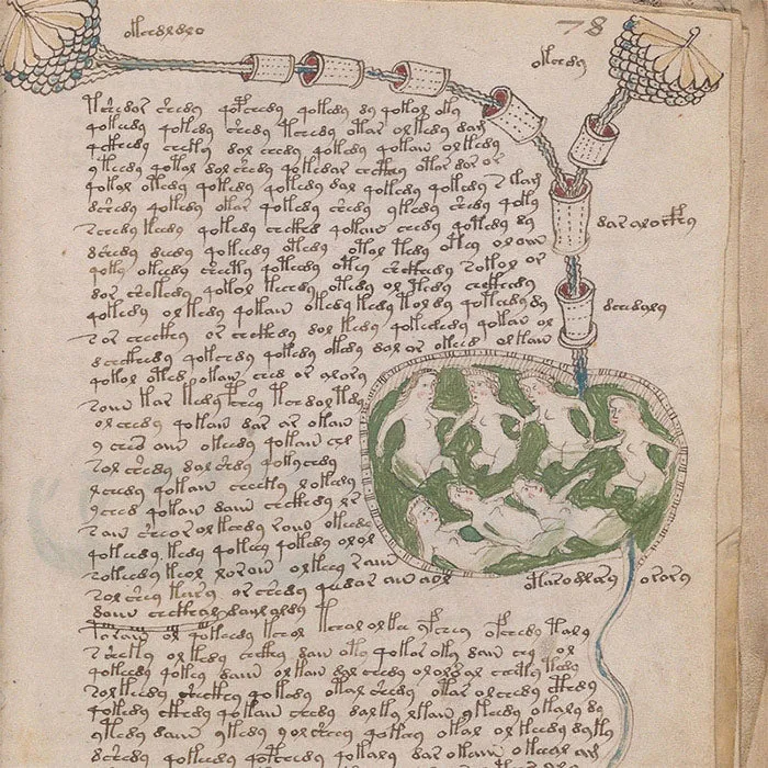 The Voynich Manuscript: Alien Botany Manual